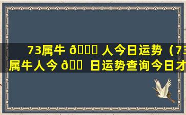 73属牛 🐕 人今日运势（73属牛人今 🐠 日运势查询今日才运十八日）